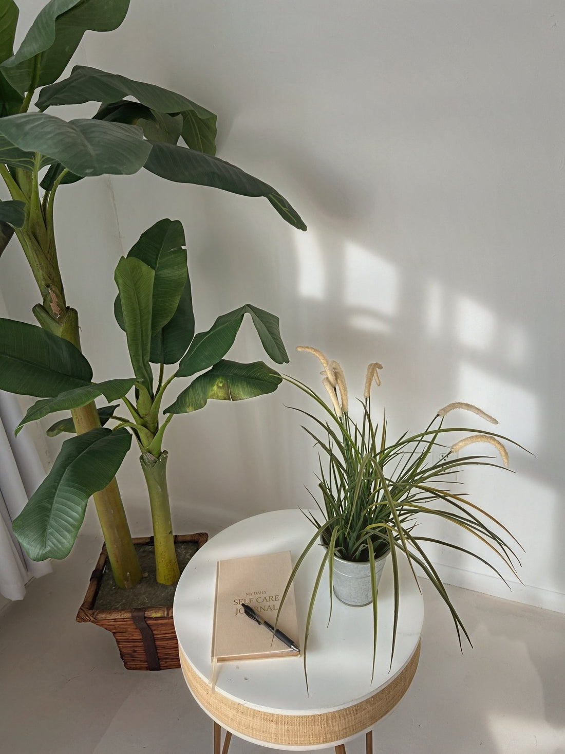 WHAT COMES WITH YOU IN THE NEW YEAR