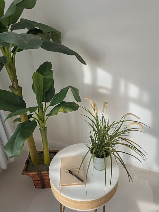 WHAT COMES WITH YOU IN THE NEW YEAR