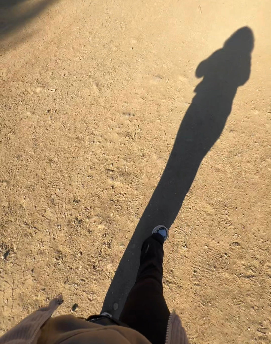 THE CREATIVE WANTS COMPANY: COME SIT WITH US